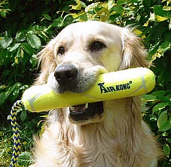 Air Kong   -  Tennisball Dummy  