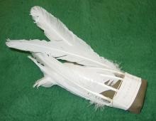 Feathered Wings
