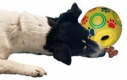 Snacky Ball mit Sound 11Cm